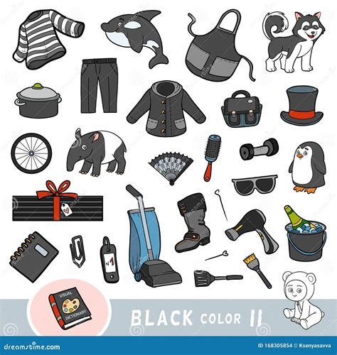 Colorful Set Of Black Color Objects Visual Dictionary For Children