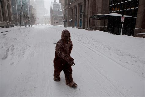 New York Ranks In The Top 5 In Bigfoot Sightings