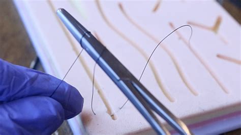 Sutured Wound Techniques Principles And Guide Sutured