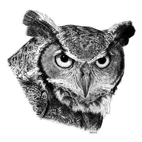 Also, draw small, button noses, and use 2 small curves to draw each mouth so it looks like your animals are smiling. Great Horned Owl | Bird drawings, Ink art, Animal drawings