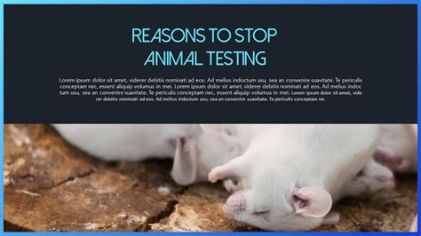 ⭐ Reasons Against Animal Testing Top 10 Reasons Animal Testing Should