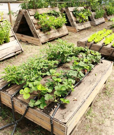 Grow Your Plants In Raised Garden Beds Amazing Diy