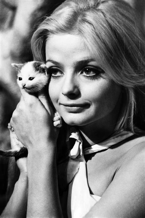 The 50 Most Fabulous And Famous Cat Ladies Of All Time Kitten Names