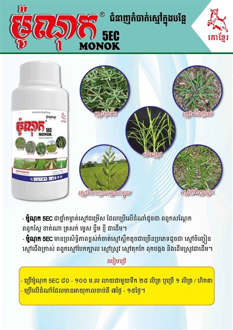 Dynamic Group Cambodia Herbicides For Vegetables And Industrial Crops