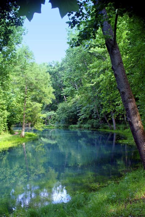 Considered to be one of the most beautiful spots in the entire state of missouri, meramec springs state park is a large natural area that is mostly famous for being a prime location for excellent trout fishing. DONE WITH CANOE OUTFITTING AND LAID UP IN ST. LOUIS
