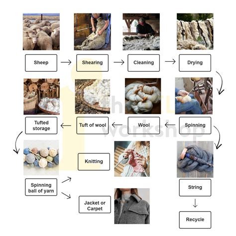 Giải đề Ielts Writing Task 1 Wool Production