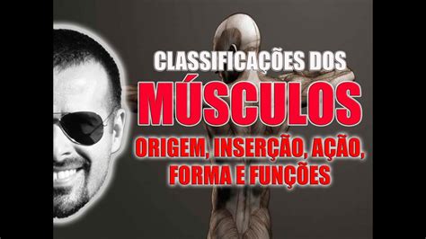 Classificação Dos Músculos Quanto à Origem Inserção Ação Forma E Função Videoaula 022 Youtube