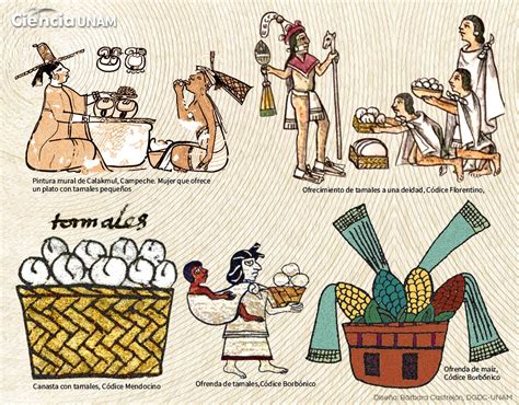 Tamales de México su historia y sabores Ciencia UNAM