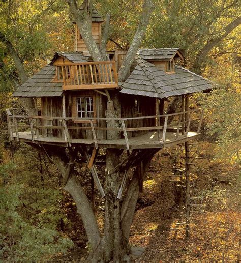 20 Tree Houses To Build For Your Kids