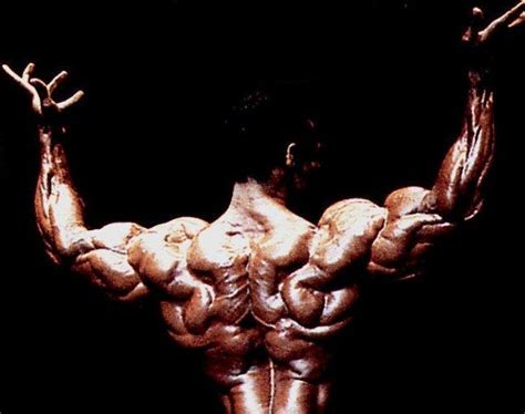 Best Top 8 Arms In Bodybuilding History Page 3 Of 8 Fitness Volt