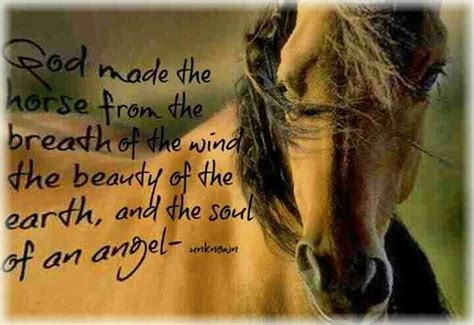 Quotes And Sayings Horse Quotes Horses Horse Love