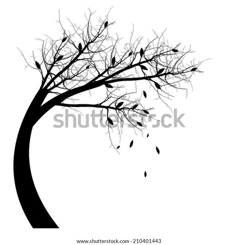 Autumn Tree Silhouette Isolated On White Stock Vector Royalty Free