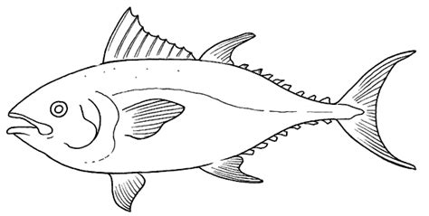 Di scuola palermitana, alto 90 centimetri in alpacca con arabeschi in rame realizzato a vendo pupo siciliano vecchio di 40 anni in metallo legno stoffa altezza cm 40 ca buone condizioni come da foto spese di spedizione con pacco. Tonnare di Sicilia - Segni nel tempo - | Il blog di Angela