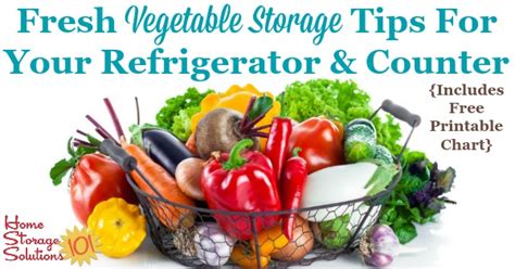 Fresh Vegetable Storage Tips For Your Refrigerator Counter Includes