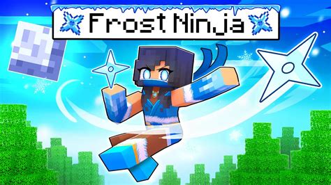 Aphmau Is The Frost Ninja In Minecraft Youtube