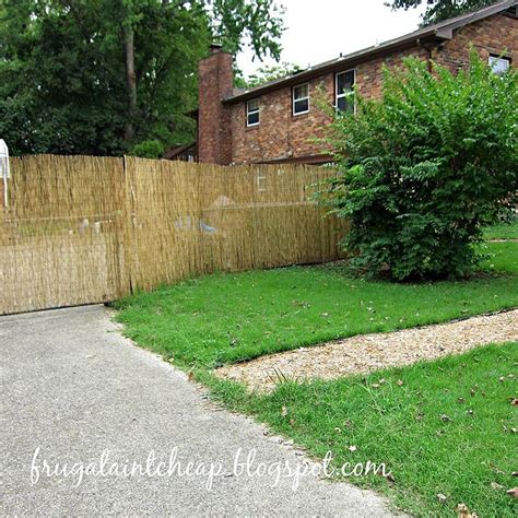 Additionally, privet hedges respond well to yearly pruning away of competing, damaged, dead. Reed Fence Turns Chain-Link into a Privacy Fence ...