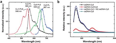 Cy3 And Cy5 As Labeling Dyes For Fluorescence Sensing A Normalized Pl
