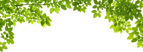 Green Leaf Border Frame Png Press Transparent Background Image Download