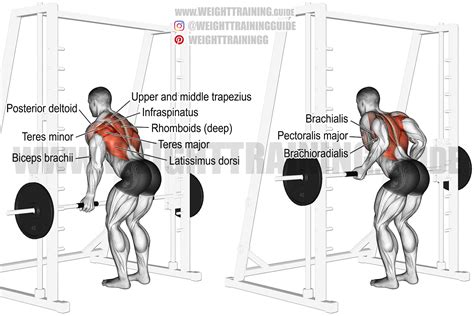 Smith Machine Underhand Yates Row Exercise Instructions And Video