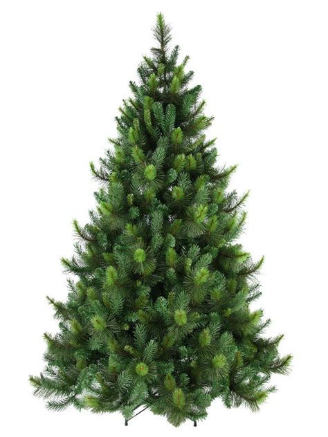Sold out for 2020 $268.00. Ponderosa Pine Christmas Tree - My Christmas