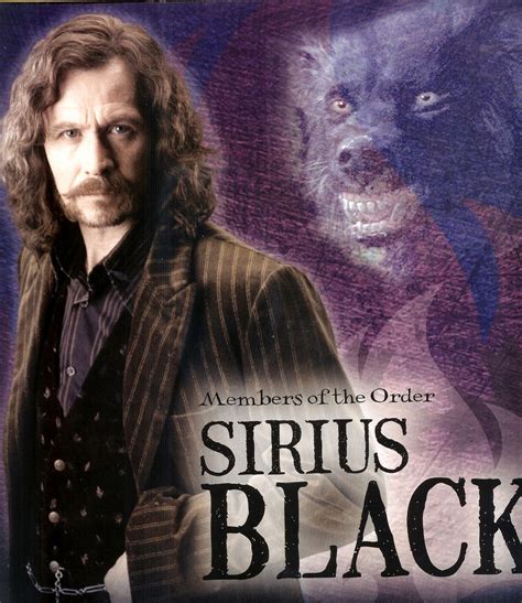 Sirius Black Wallpapers Wallpaper Cave