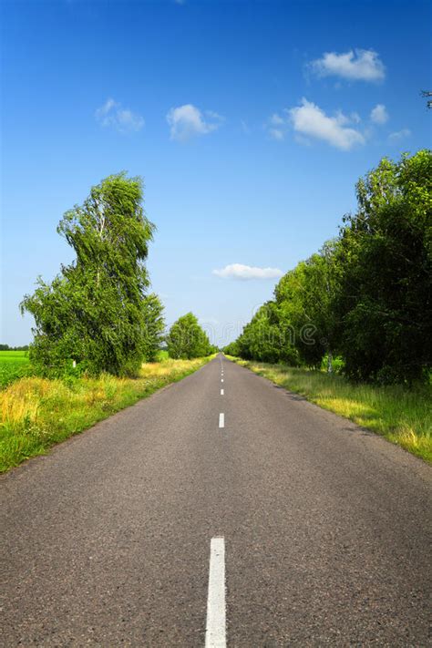 Summer Country Road With Trees Beside Stock Image Image Of Scenics