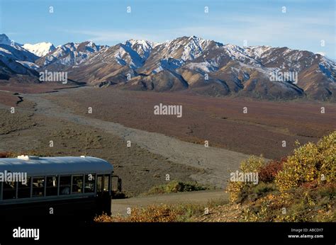 Alaska Bus Tour Denali National Park Stock Photo Alamy