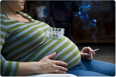 Get Your Pregnant Smoking Fetish Fix Pornstar World Net