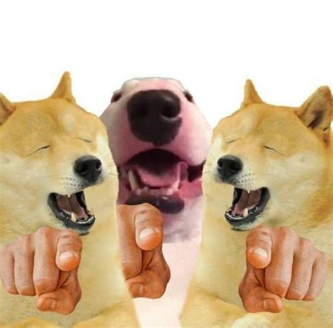 Doge Meme Generator Nipodkm
