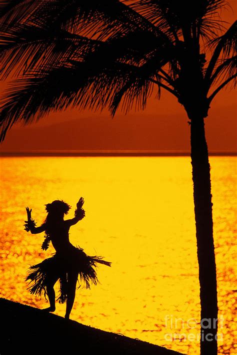 Hula At Sunset Photograph By Ron Dahlquist Printscapes
