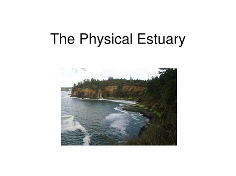 Ppt Estuary Definition And Orientation Powerpoint Presentation Free