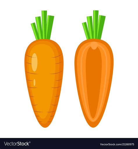 Colorful Whole And Half Carrot Royalty Free Vector Image Vegetable