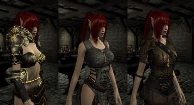 Bbb For More Revealing Standard Armors Hgec At Oblivion Nexus Mods