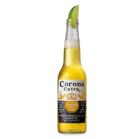 Corona Extra 330ml | Molloy's Liquor Stores