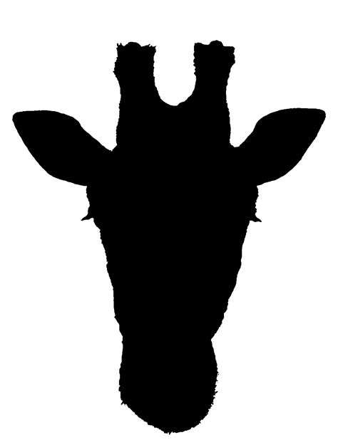 Baby Giraffe Head Svg 295 Popular Svg Design