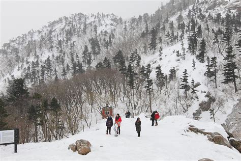 It was designated as natural monument no.171 in 1965, and as a national park on mount seorak on march 24, 1970.4 in august 1982, unesco designated the area as a biosphere reserve.567. Mount Sorak National Park 3 - Korea | Have always wondered ...