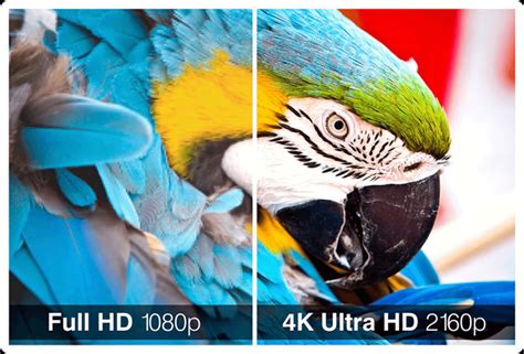 4k Uhd Vs 1080p Full Hd Laptop Which Is Better Buyer Direction