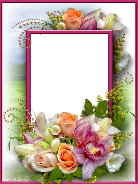 Free Flower Photo Frame For Photoshop Download Beautiful Flowers