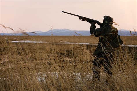 6 Duck Shooting Tips For Your First Waterfowl Hunt
