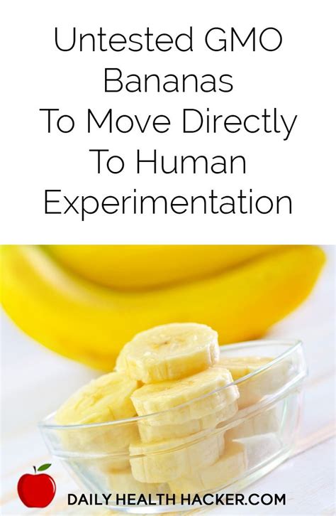 Untested Gmo Bananas To Move Directly To Human Experimentation