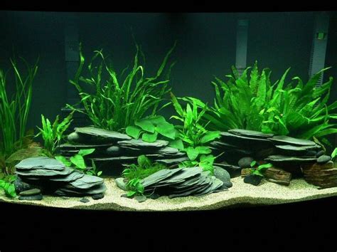 21 Best Aquascaping Design Ideas To Decor Your Aquarium Tips Inside