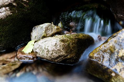 Free Images Nature Rock Waterfall Leaf Stone Stream Green