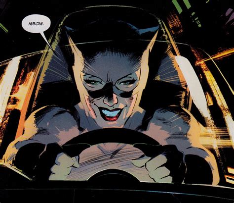 Catwoman Comic Catwoman Cosplay Batman And Catwoman Batman Art