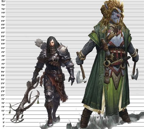5e Firbolg Scout Or Ranger 79 Tall Graphic
