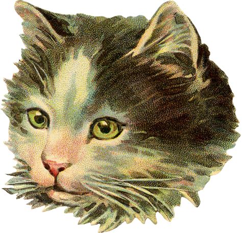 6 Vintage Cat Images Free Scraps The Graphics Fairy