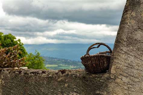 Wallpaper Photography Landscape Hills Trees Plants Field Wicker