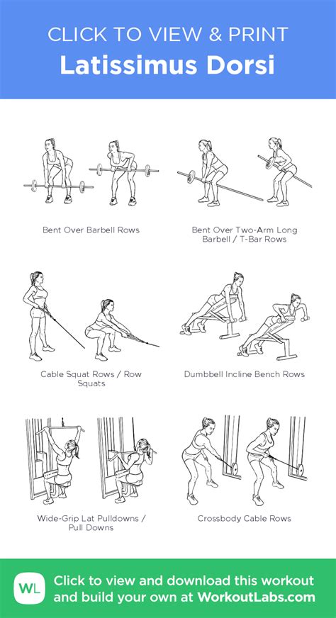Latissimus Dorsi Click To View And Print This Illustrated Exercise Plan Created With