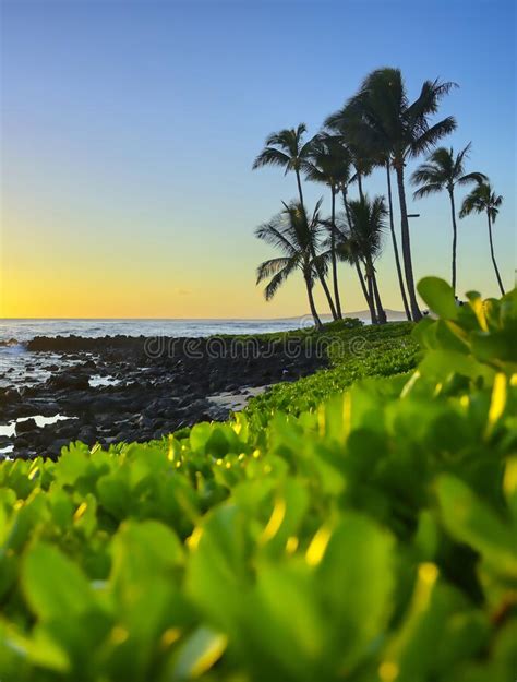 Sunset Over The Coast Of Kauai Hawaii Stock Image Image Of Beach