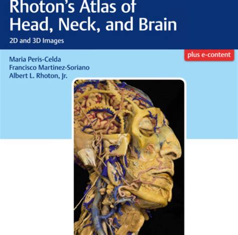 Rhotons Atlas Of Head Neck And Brain 2d And 3d Images Pdf Free