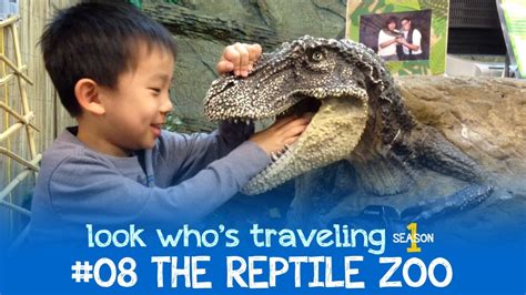 5 Year Old Herping At The Reptile Zoo Fountain Valley Youtube